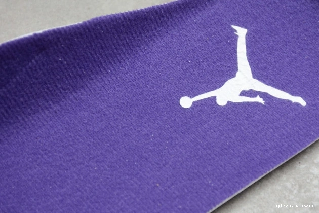 Rep CT8527-115 Air 4 Court Jordan Purple 0809